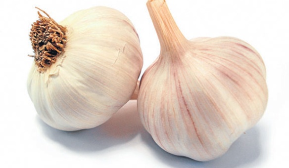 garlic.jpg